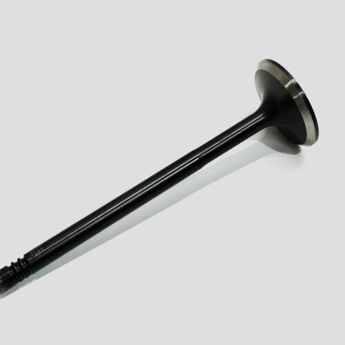 VALVULA
  ADMISION PARA VOLKSWAGEN (1998-2002) 036109601AD 