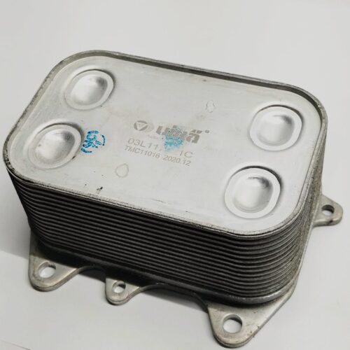 ENFRIADOR ACEITE MOTOR PARA VOLKSWAGEN
AMAROK A5 A6 A7 1.6 2.0 TDI GOLF JETTA PASSAT B7 B6 CC BEETLE AUDI A4 B8
03L117021C