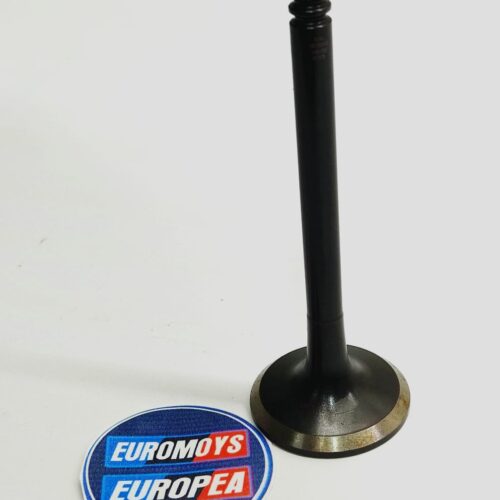 VALVULA ESCAPE PARA VOLKSWAGEN
  (1998-2002) 048109611B 