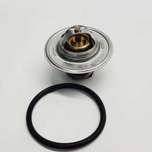 TERMOSTATO
  87C PARA VOLKSWAGEN (1999-2004) 050121113C 