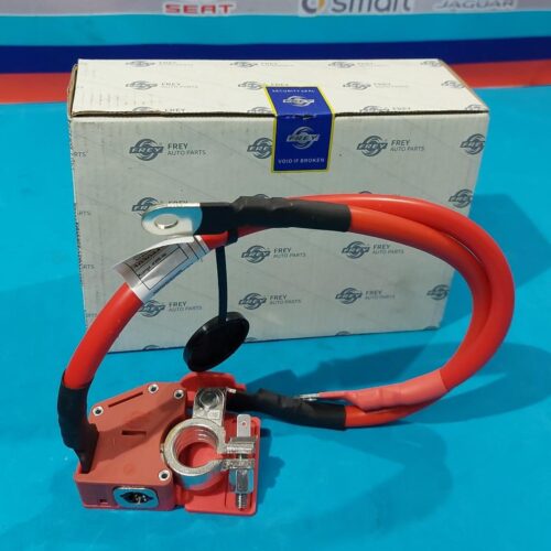 CABLE BATERIA POSITIVO PARA
BMW F30 F35 F80 F34 F31 F33 F83 F32 F82 F36 61129259425