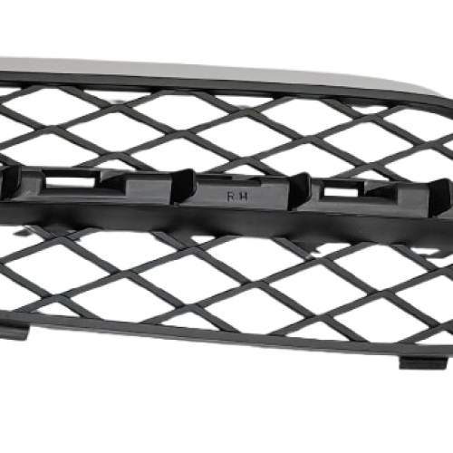 REJILLA BOMPER PARA BMW X5 E70 2006-2010, BMW X5 E70 2006-2010 (51117159596)