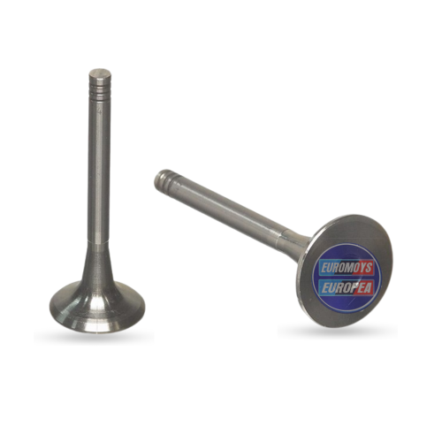 VALVULA ADMISION  PARA VOLKSWAGEN  PASSAT B3 1988-1997, VOLKSWAGEN  A3 GOLF  1992-1998 (048109601A)