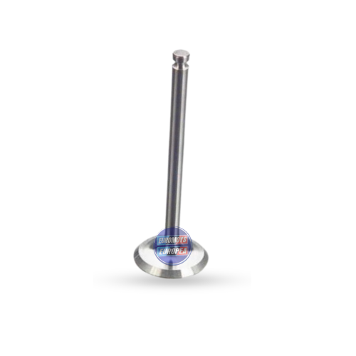 VALVULA DE ADMISION PARA VOLKSWAGEN  A2 GOLF  1984-1992 (027109601C)