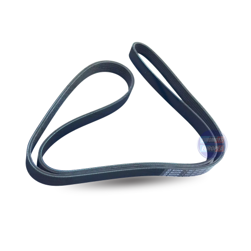 FAJA UNICA (6PK1555)  PARA BMW  E36 1994-2000 (11281437929)