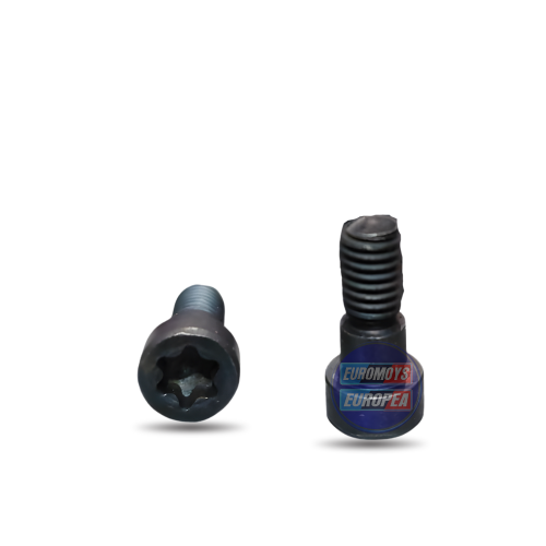 TORNILLO (VANOS FIT) PARA BMW E39 1995-2003, BMW E46 1998-2005, BMW X5 E53 2000-2007, BMW E60 2001-2010 (11361748745)