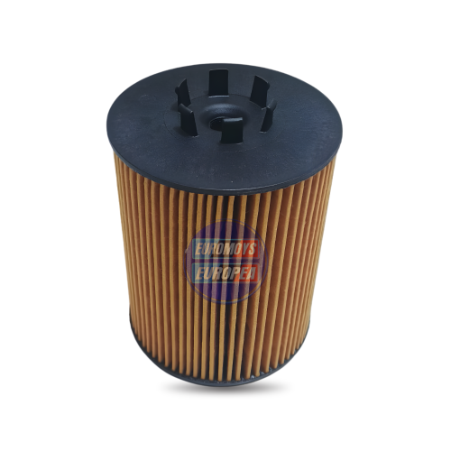 FILTRO DE ACEITE  PARA BMW X5 E53 2000-2007, BMW E65 E66 2001-2009, BMW E61 2004-2010 (11427511161)